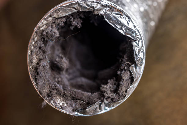  Howey In The Hills, FL Airduct Cleaning Pros