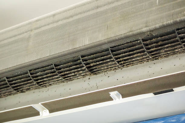 Best Commercial Air Duct Cleaning  in Howey In The Hills, FL
